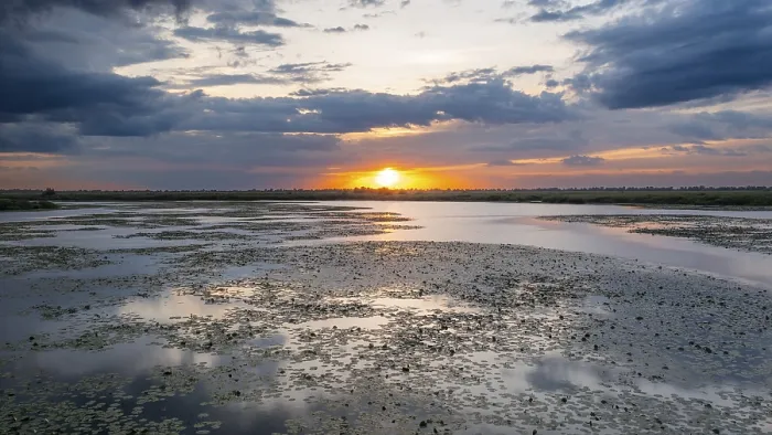 Gerahmter Druck : Donau-Delta-Sonnenuntergang Gerahmter Druck : Donau-Delta-Sonnenuntergang