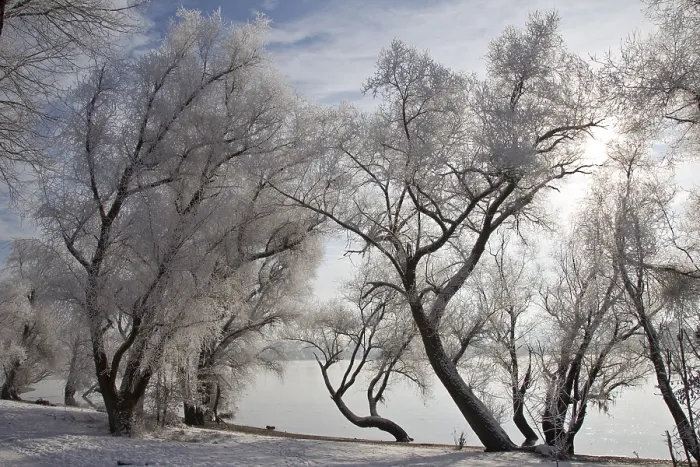 Gerahmter Druck : Donau-Landschaft Gerahmter Druck : Donau-Landschaft