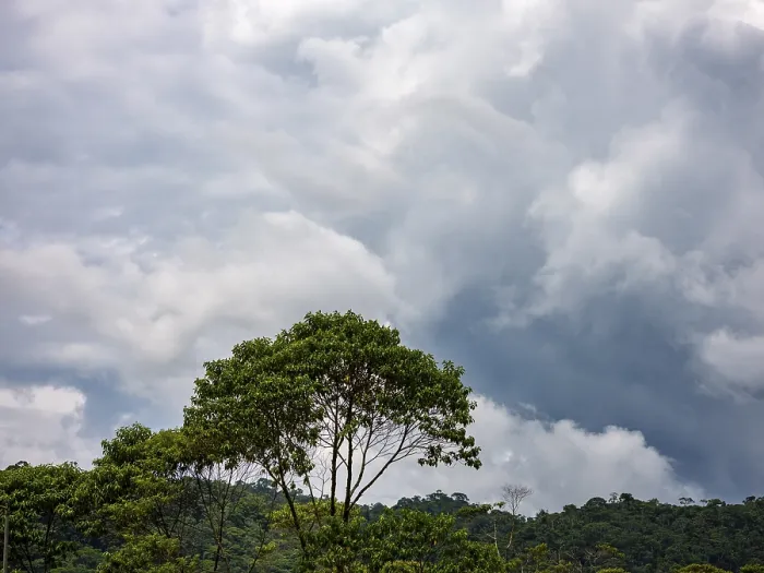 Gerahmter Druck : Dunkle Wolken über der Amazonas-Wald. Gerahmter Druck : Dunkle Wolken über der Amazonas-Wald.