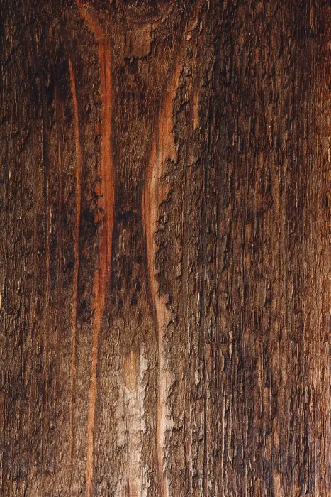 Gerahmter Druck : Dunkler Holzboden. Blick von oben. Gerahmter Druck : Dunkler Holzboden. Blick von oben.