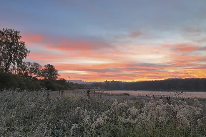 Gerahmter Druck : Morgenröte über dem Unterholzer Weiher. Gerahmter Druck : Morgenröte über dem Unterholzer Weiher.
