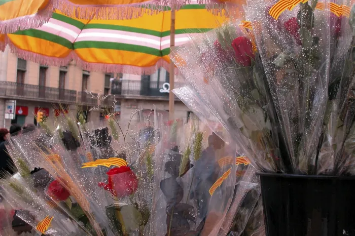 Gerahmter Druck : Tag der Rosen Gerahmter Druck : Tag der Rosen