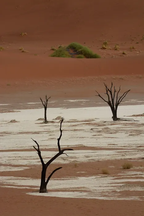 Gerahmter Druck : Tote Bäume in Dead Vlei oder Deadvlei Gerahmter Druck : Tote Bäume in Dead Vlei oder Deadvlei