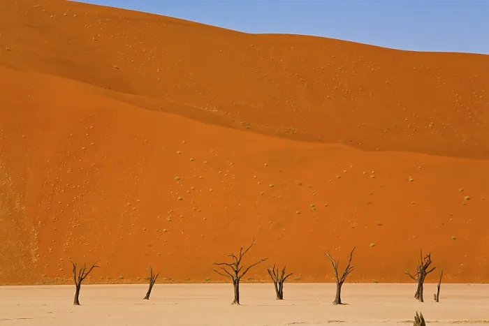 Gerahmter Druck : Deadvlei, Namibia