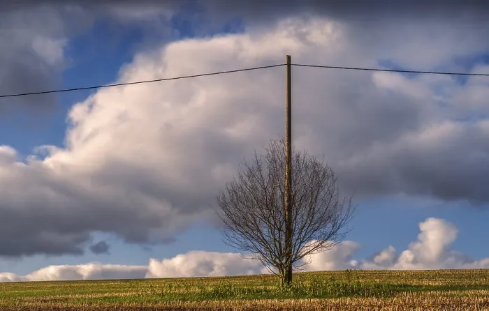 Gerahmter Druck : Dezember, Der Strommast. Gerahmter Druck : Dezember, Der Strommast.