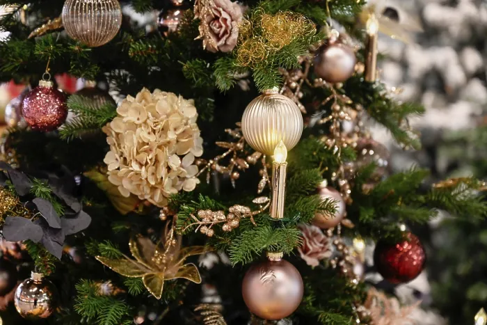 Gerahmter Druck : Detail geschmückter Weihnachtsbaum Gerahmter Druck : Detail geschmückter Weihnachtsbaum