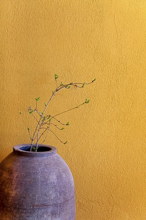 Gerahmter Druck : Decoration Gerahmter Druck : Decoration