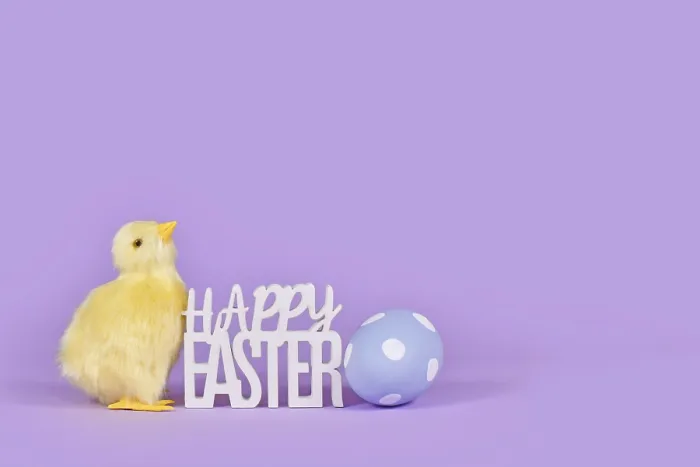 Gerahmter Druck : Ostliches Dekorationshuhn, bemaltes Ei und Text Frohes Ostern in der Ecke eines violett Hintergrunds mit Kopieplatz.
