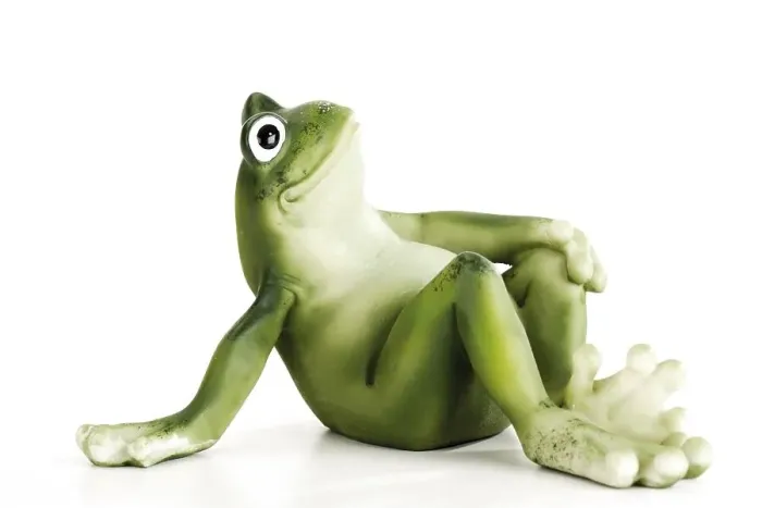 Gerahmter Druck : Zierfrosch Gerahmter Druck : Zierfrosch