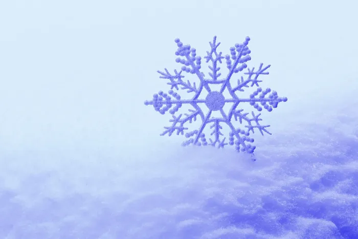 Gerahmter Druck : Schneeflocke in Schnee. Gerahmter Druck : Schneeflocke in Schnee.