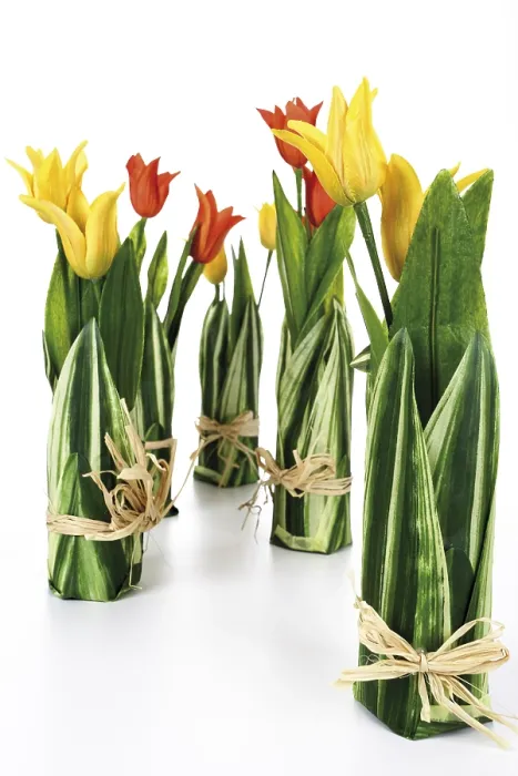 Gerahmter Druck : Schmucktulpen Gerahmter Druck : Schmucktulpen