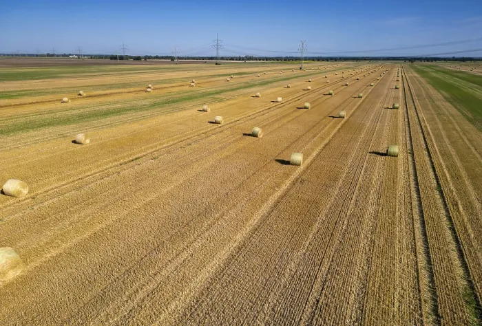 Gerahmter Druck : Standard Ackerland nach Ernte Gerahmter Druck : Standard Ackerland nach Ernte