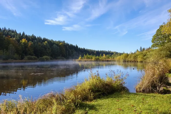 Gerahmter Druck : Deininger Teich, Straßlach-Dingharting Gerahmter Druck : Deininger Teich, Straßlach-Dingharting