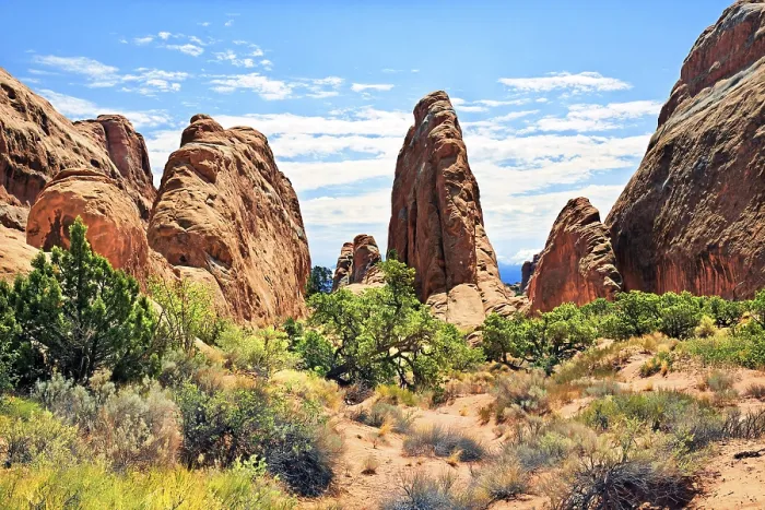 Gerahmter Druck : Teufelsgarten mit Sandsteinklippen, die durch Erosion entstanden sind. Gerahmter Druck : Teufelsgarten mit Sandsteinklippen, die durch Erosion entstanden sind.