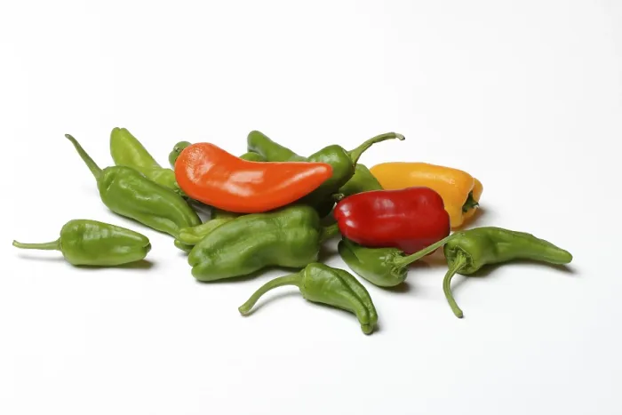 Gerahmter Druck : Verschiedenfarbige Paprika auf einem hellen Hintergrund. Gerahmter Druck : Verschiedenfarbige Paprika auf einem hellen Hintergrund.