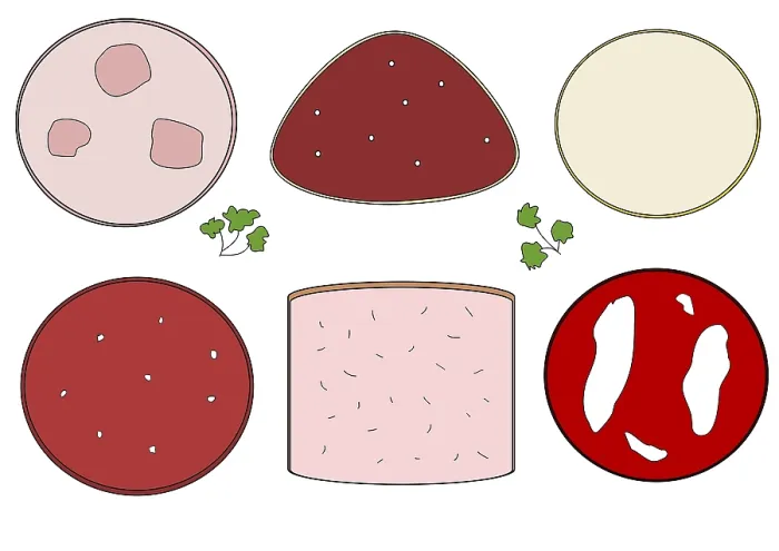 Gerahmter Druck : Verschiedene Arten von Würsten, Illustration. Gerahmter Druck : Verschiedene Arten von Würsten, Illustration.