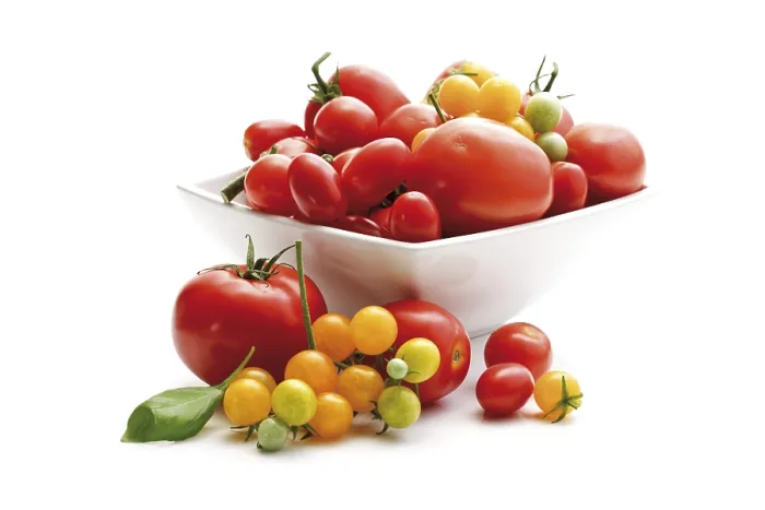Gerahmter Druck : Verschiedene Tomatensorten. Gerahmter Druck : Verschiedene Tomatensorten.