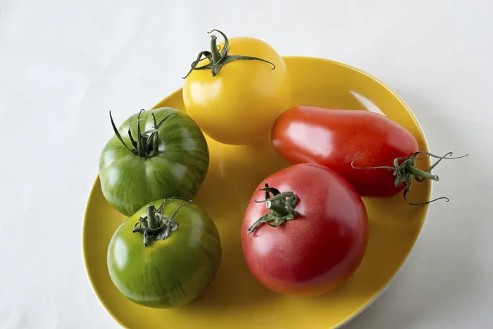 Gerahmter Druck : Verschiedene Tomatensorten auf einem gelben Teller. Gerahmter Druck : Verschiedene Tomatensorten auf einem gelben Teller.