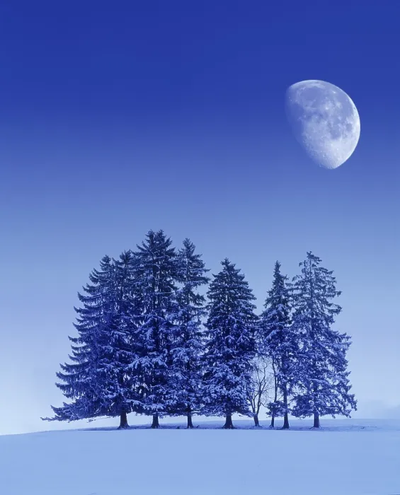 Gerahmter Druck : Digitales Komponieren, Winterlandschaft. Gerahmter Druck : Digitales Komponieren, Winterlandschaft.
