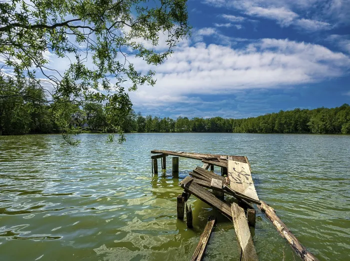 Gerahmter Druck : Verfallener Steg am Bodensee. Gerahmter Druck : Verfallener Steg am Bodensee.