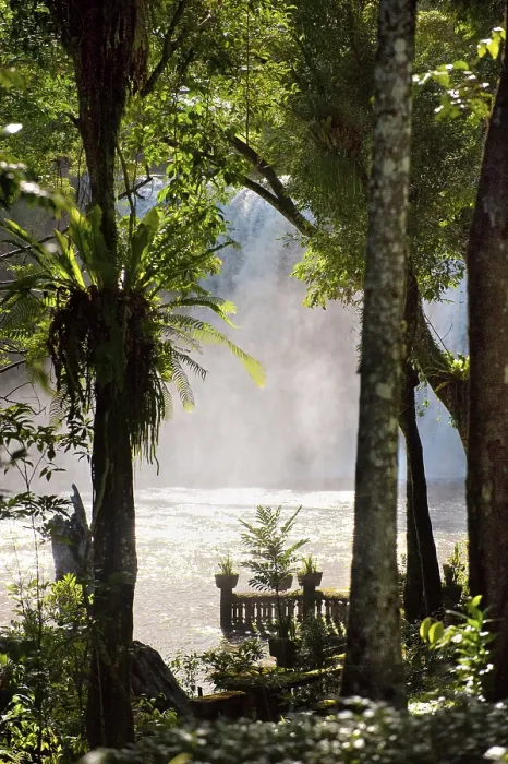 Gerahmter Druck : Verfallener Park mit Wasserfall. Gerahmter Druck : Verfallener Park mit Wasserfall.