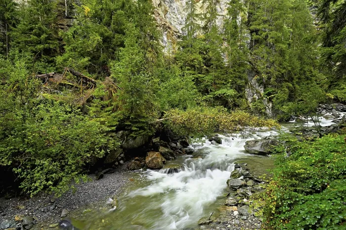 Gerahmter Druck : Bach des Diosaz in der Schlucht Gerahmter Druck : Bach des Diosaz in der Schlucht