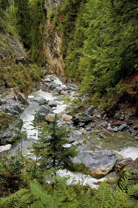 Gerahmter Druck : Diosaz-Bergfluss im Schlucht Gerahmter Druck : Diosaz-Bergfluss im Schlucht