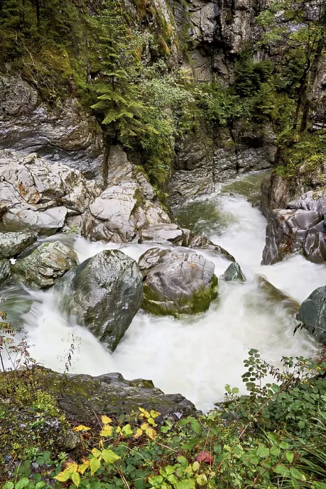 Gerahmter Druck : Bach des Diosaz in der Schlucht Gerahmter Druck : Bach des Diosaz in der Schlucht
