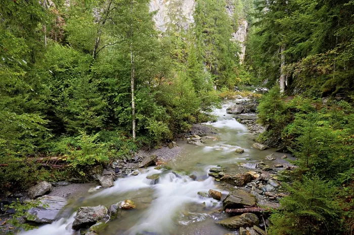 Gerahmter Druck : Diosaz-Bergfluss im Schlucht Gerahmter Druck : Diosaz-Bergfluss im Schlucht