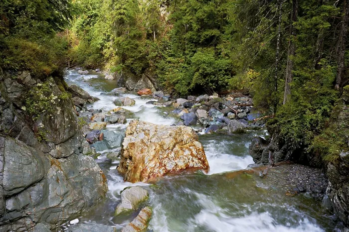 Gerahmter Druck : Diosaz-Bergfluss im Schlucht Gerahmter Druck : Diosaz-Bergfluss im Schlucht