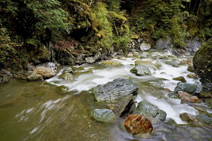 Gerahmter Druck : Diosaz-Bergfluss im Tal Gerahmter Druck : Diosaz-Bergfluss im Tal