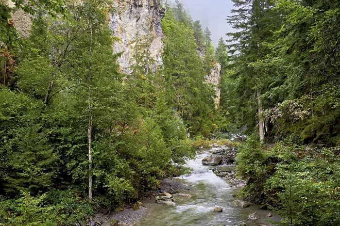 Gerahmter Druck : Diosaz-Bergfluss im Schlucht. Gerahmter Druck : Diosaz-Bergfluss im Schlucht.