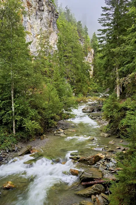 Gerahmter Druck : Diosaz-Bergfluss im Schlucht Gerahmter Druck : Diosaz-Bergfluss im Schlucht