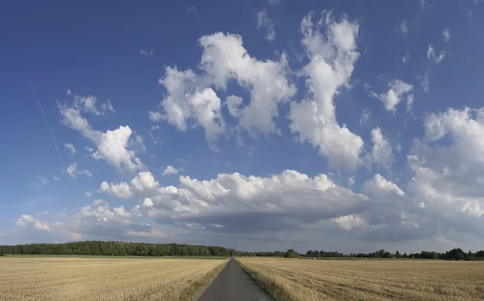 Gerahmter Druck : Durchforsteter Straße mit Wolken. Gerahmter Druck : Durchforsteter Straße mit Wolken.