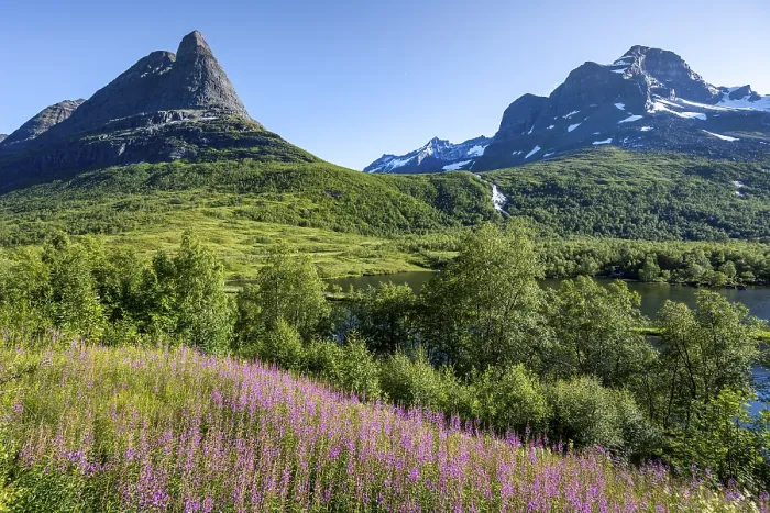 Gerahmter Druck : Einzigartiger Berggipfel Innerdalstårnet Gerahmter Druck : Einzigartiger Berggipfel Innerdalstårnet