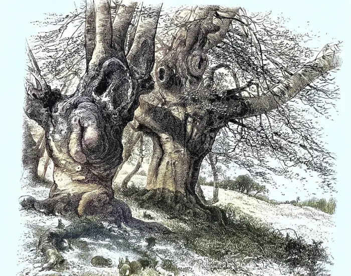 Gerahmter Druck : Einzelstücke, Naturdenkmal. Gerahmter Druck : Einzelstücke, Naturdenkmal.