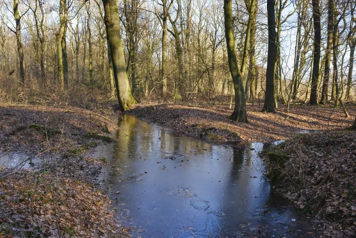 Gerahmter Druck : Graben mit Wasser- und Eisschicht im Wald. Gerahmter Druck : Graben mit Wasser- und Eisschicht im Wald.