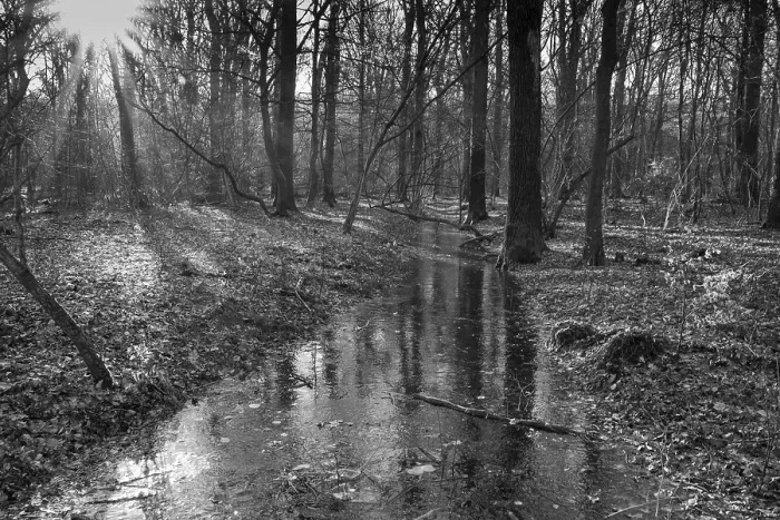 Gerahmter Druck : Graben mit Wasser- und Eisschicht im Wald. Gerahmter Druck : Graben mit Wasser- und Eisschicht im Wald.