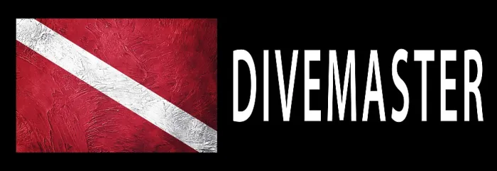Gerahmter Druck : Tauchleiter, Diver Down Flag, Tauchflagge Gerahmter Druck : Tauchleiter, Diver Down Flag, Tauchflagge