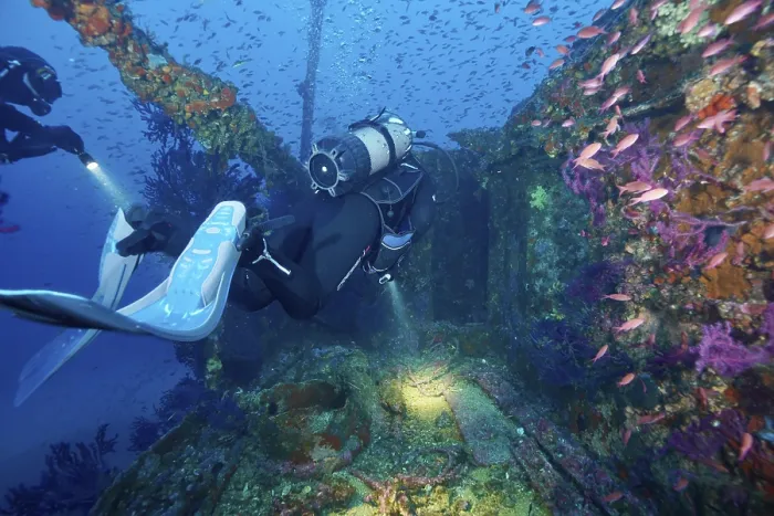 Gerahmter Druck : Divers schwimmen durch die Überreste eines gesunkenen Schiffes. Gerahmter Druck : Divers schwimmen durch die Überreste eines gesunkenen Schiffes.