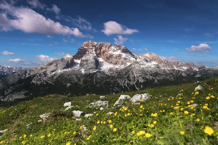 Gerahmter Druck : Dolomiten mit Bergwiese Gerahmter Druck : Dolomiten mit Bergwiese