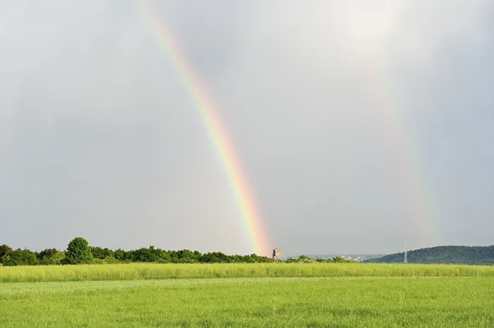 Gerahmter Druck : Doppelregenbogen über grünen Feldern. Gerahmter Druck : Doppelregenbogen über grünen Feldern.