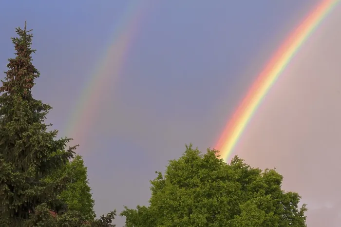 Gerahmter Druck : Doppelregenbogen, teilweise sichtbar, mit Bäumen. Gerahmter Druck : Doppelregenbogen, teilweise sichtbar, mit Bäumen.