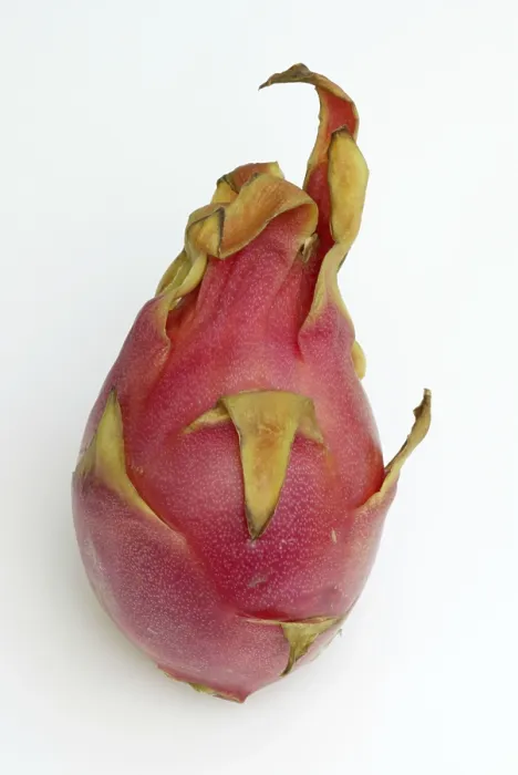 Gerahmter Druck : Drachenfrucht (dreieckiger Hylocereus) Gerahmter Druck : Drachenfrucht (dreieckiger Hylocereus)