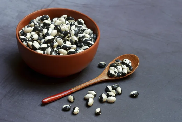Gerahmter Druck : Getrocknete Bohnen in Schale mit Löffel. Gerahmter Druck : Getrocknete Bohnen in Schale mit Löffel.