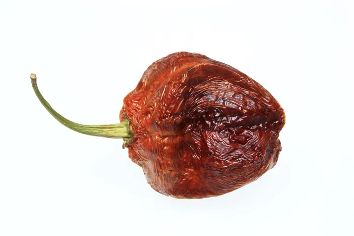 Gerahmter Druck : Getrocknete Chili-Frucht Gerahmter Druck : Getrocknete Chili-Frucht