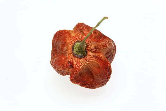Gerahmter Druck : Trockene Chili-Frucht Gerahmter Druck : Trockene Chili-Frucht