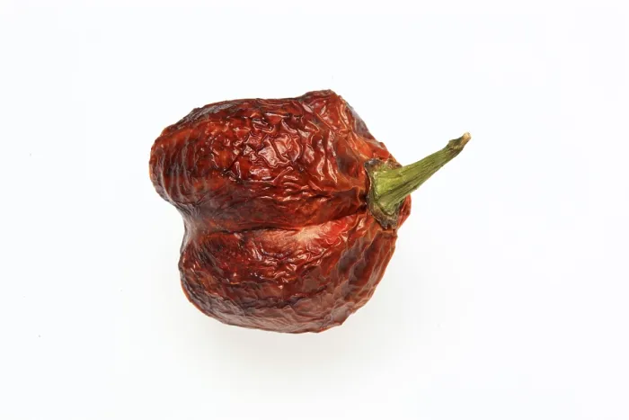 Gerahmter Druck : Getrocknete Chili-Frucht Gerahmter Druck : Getrocknete Chili-Frucht