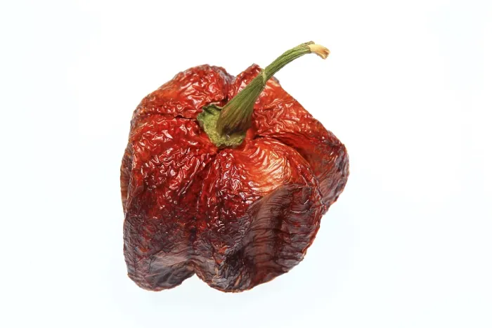 Gerahmter Druck : Trockene Chilifrucht Gerahmter Druck : Trockene Chilifrucht