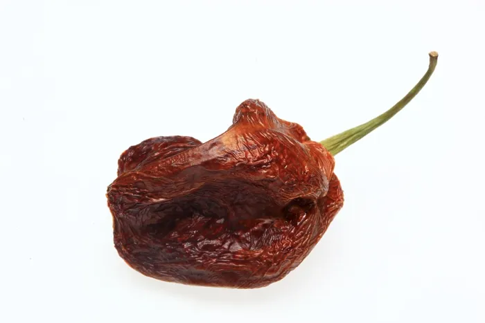 Gerahmter Druck : Getrocknete Chili-Frucht. Gerahmter Druck : Getrocknete Chili-Frucht.